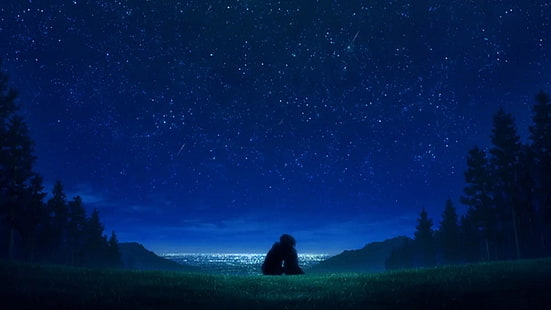 anime konst, stjärnklar, stjärnor, stjärnklar natt, natthimmel, silhuett, fält, natt, natur, HD tapet HD wallpaper