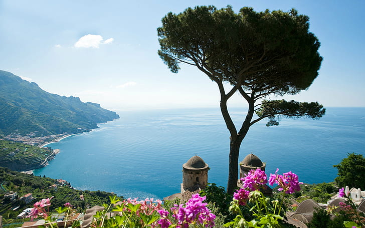 Wybrzeże Amalfi różowe kwiaty 50342, Tapety HD