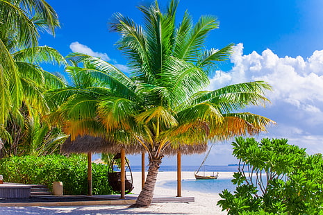 zielone rośliny, piasek, morze, plaża, palmy, brzeg, lato, raj, palmy, tropikalny, Tapety HD HD wallpaper