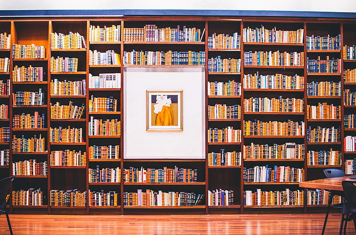 книги, картина, библиотека, много, полки, HD обои