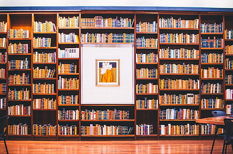 livres, image, bibliothèque, beaucoup, étagères, Fond d'écran HD HD wallpaper