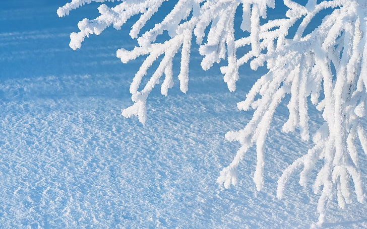 indah, lanskap, pemandangan, indah, alam, salju, musim dingin, Wallpaper HD