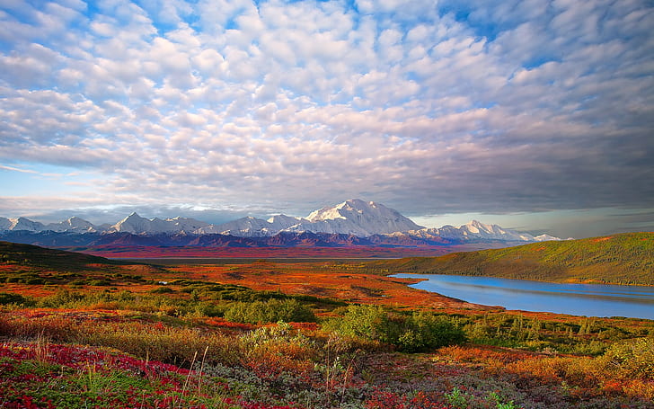 USA nature landscape, Denali National Park, USA, Nature, Landscape, Denali, National, Park, HD wallpaper
