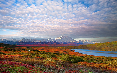 Paesaggio della natura di USA, parco nazionale di Denali, USA, natura, paesaggio, Denali, nazionale, parco, Sfondo HD HD wallpaper