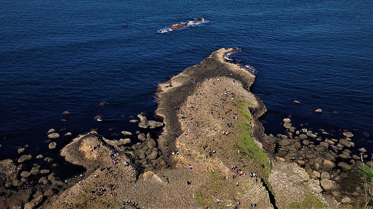 Irlandia Utara, Giant's Causeway, pantai, garis pantai, laut, Wallpaper HD