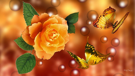 로즈 소 노란색, 주황색 꽃과 두 개의 나비, 파이어 폭스 페르소나, 거품, 꽃, 청동, 금, 장미, 나비, 광선, 여름, 3d 및 초록, HD 배경 화면 HD wallpaper