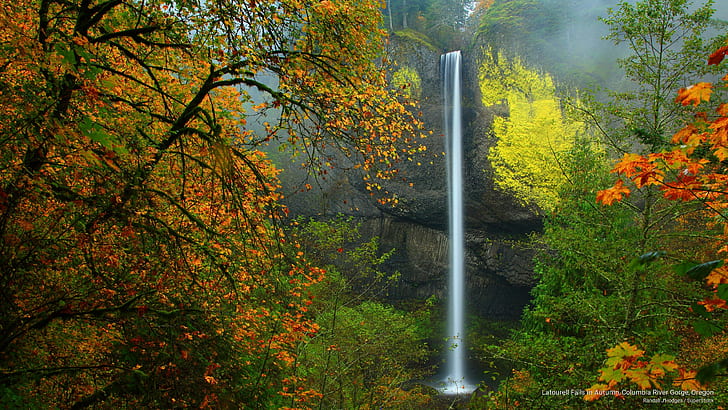 Latourell Falls in Autumn, Columbia River Gorge, Oregon, Fall, HD wallpaper