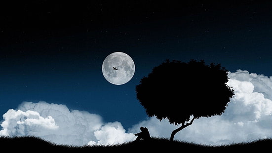 sendirian, sedih, pohon tunggal, bulan purnama, bulan, langit, awan, siluet, pohon kesepian, langit malam, alam, malam, kesendirian, manusia, sinar bulan, Wallpaper HD HD wallpaper