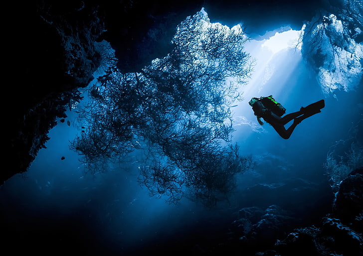 diver digital wallpaper, sea, water, the ocean, people, diver, under water, diving, HD wallpaper