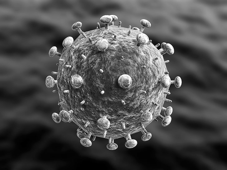 丸い分子、ウイルス、細菌、顕微鏡のグレースケール写真、 HDデスクトップの壁紙