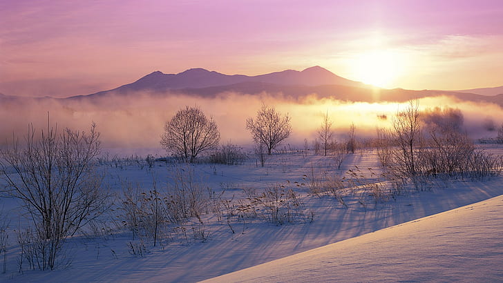 природа, пейзаж, зима, мъгла, планини, сняг, храсти, студ, HD тапет