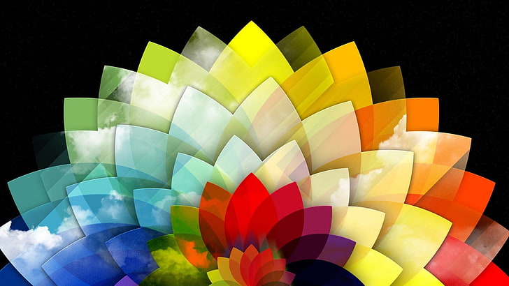 carta da parati digitale floreale multicolore, fiori, astratto, colorato, nuvole, petali, sfondo nero, Sfondo HD