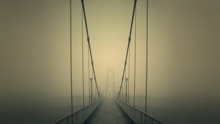 Ponte, névoa, luz rua, ponte, névoa, luz rua, HD papel de parede