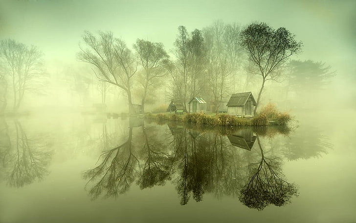 бяла дървена къща, природа, пейзаж, спокойствие, мъгла, хижа, дървета, храсти, отражение, езеро, сутрин, вода, HD тапет