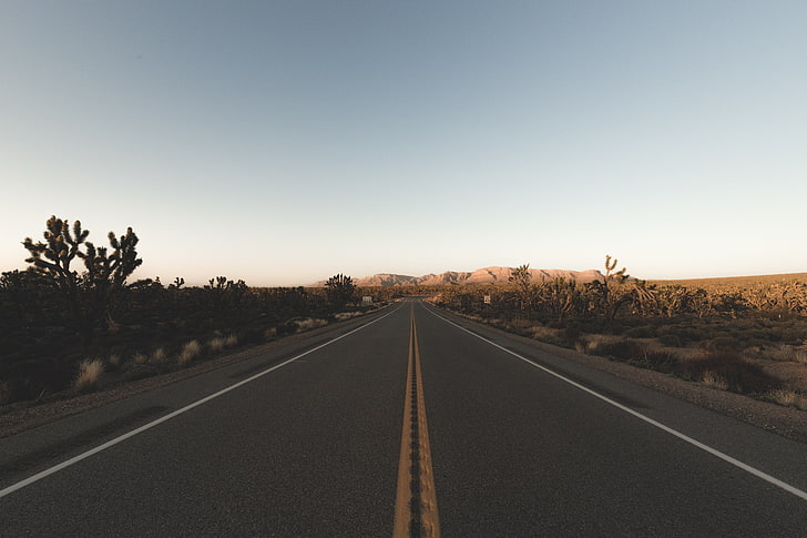 carretera de asfalto, desierto, carretera, paisaje, cielo despejado, Fondo de pantalla HD