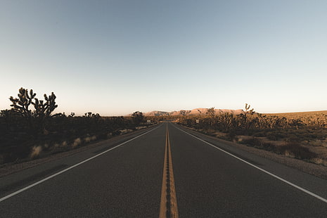 carretera de asfalto, desierto, carretera, paisaje, cielo despejado, Fondo de pantalla HD HD wallpaper