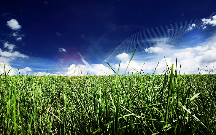 зелена трева поле цифрови тапети, трева, дигитално изкуство, растения, небе, облаци, HD тапет
