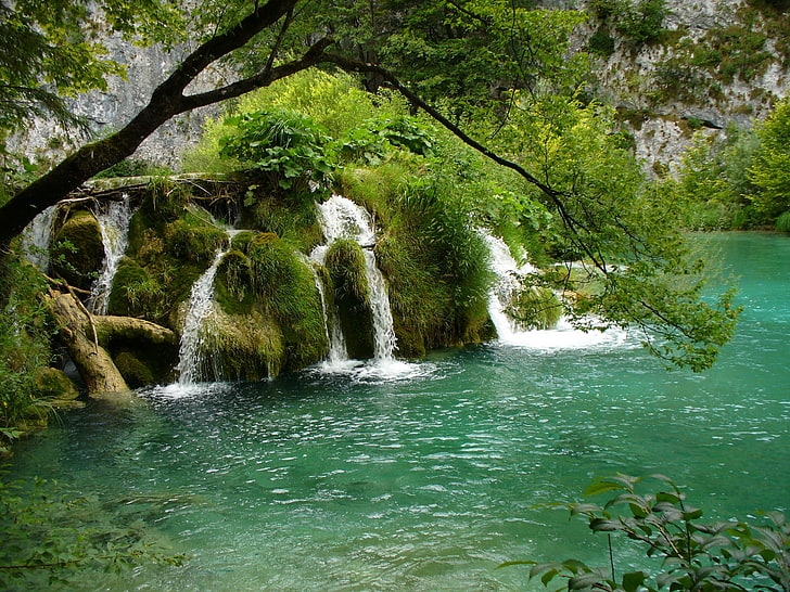 grüner Laubbaum, Fluss, Bäume, Natur, HD-Hintergrundbild