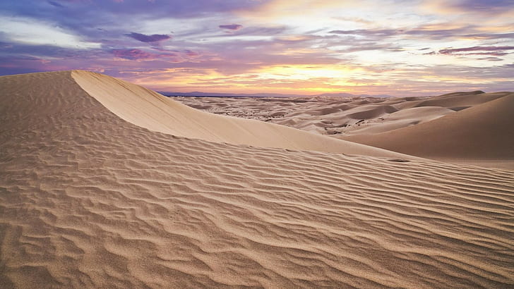 brown sand, landscape, desert, HD wallpaper