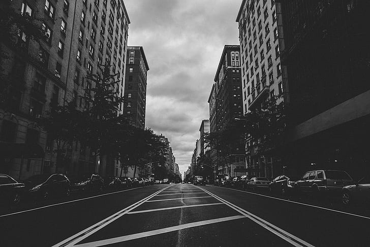 Ville, rue, voitures, arbres, noir et blanc, photo de l'échelle de gris des bâtiments de la ville, ville, rue, voitures, arbres, noir et blanc, Fond d'écran HD