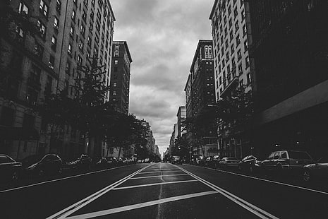 Cidade, rua, carros, árvores, preto e branco, edifícios da cidade em escala de cinza foto, cidade, rua, carros, árvores, preto e branco, HD papel de parede HD wallpaper