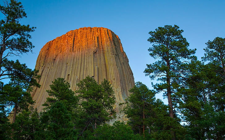 Menara Setan, formasi batu, monumen, hutan, Wyoming, alam, Wallpaper HD