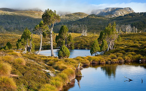 tasmânia austrália lago montanha relva árvores água arbustos natureza paisagem, HD papel de parede HD wallpaper