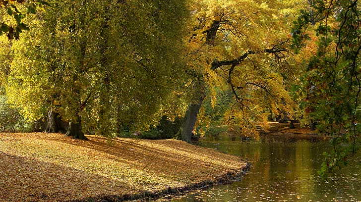 jesień, liście, drzew, parkowych, rzeka, Niemcy, Hanower, Hanower, Dolna Saksonia, Georgengarten, George garden, Rzeka Leine, rzeka Lyne, Tapety HD