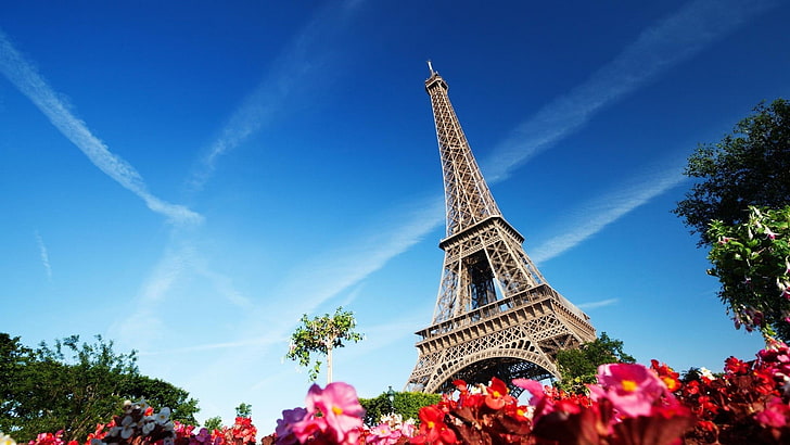 Tour Eiffel, France, Tour Eiffel, bâtiment, architecture, fleurs, Paris, France, Fond d'écran HD