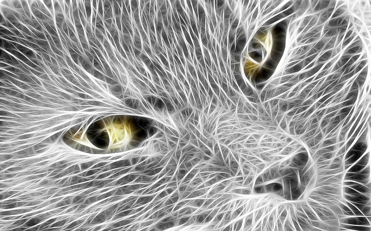 Ilustración de gato gris, gato, cara, luz, líneas, Fondo de pantalla HD