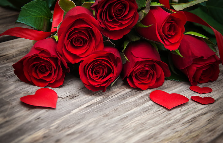 Czerwone róże, płatki, 4K, Tapety HD