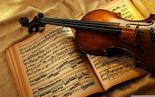 茶色のバイオリン、バイオリン、本、ノート、紙、文字列、 HDデスクトップの壁紙 HD wallpaper