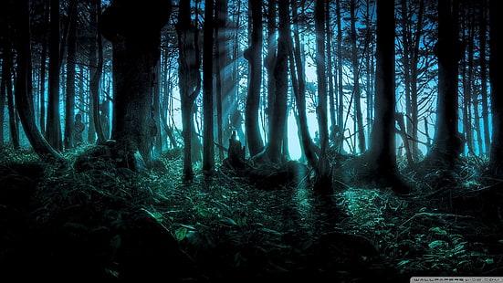 silhouette de forêt tropicale pendant la nuit, art fantastique, œuvres d'art, forêt, sombre, paysage, art numérique, Fond d'écran HD HD wallpaper