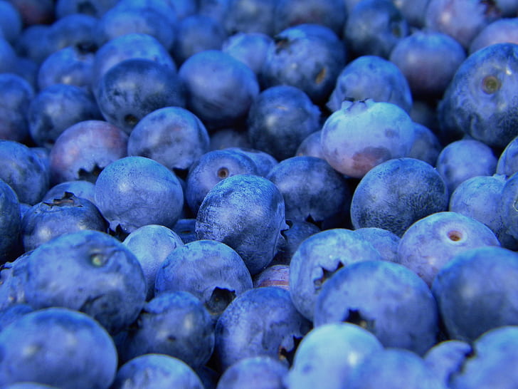 blueberry, berry, ripe, close-up, HD wallpaper