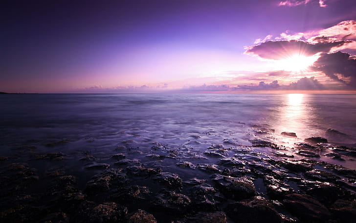 Pejzaż morski fioletowy, fioletowy, pejzaż morski, Tapety HD