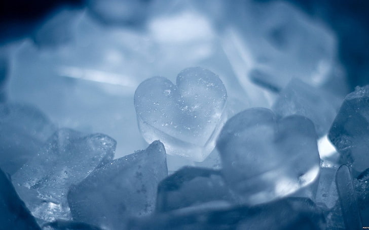 ice lot, ice, heart, form, snow, HD wallpaper