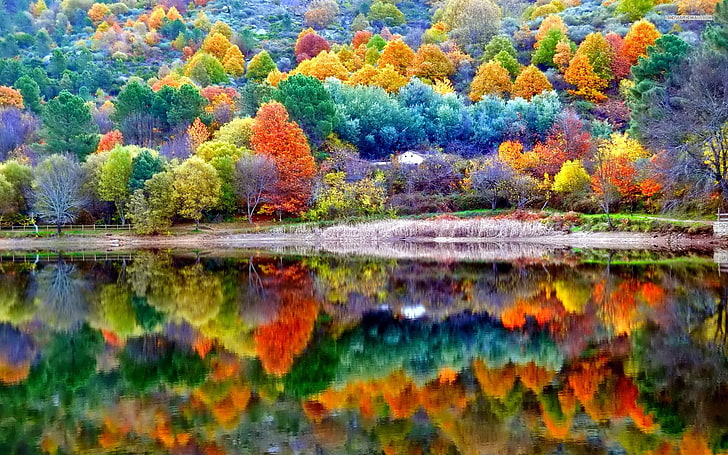 가을, 풍경, 자연, HD 배경 화면 | Wallpaperbetter