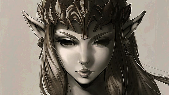 la leggenda di Zelda Twilight Princess, Sfondo HD HD wallpaper