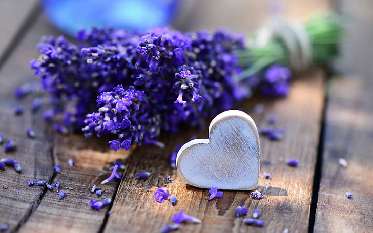 Kayu hati pada lavender, lavender ungu, lavender, jantung, beragam, cinta, bunga, Wallpaper HD