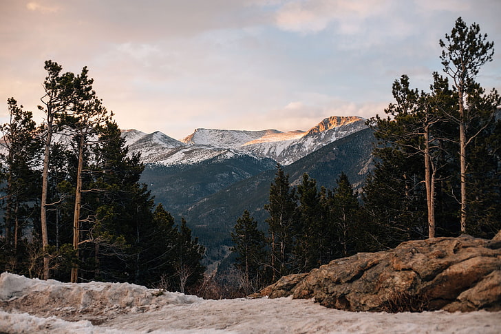 naturaleza, paisaje, montañas, montañas nevadas, valle, pinos, Fondo de pantalla HD