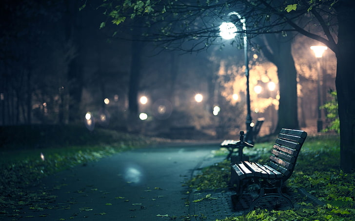 две черные скамейки возле дерева в ночное время фото, коричневые деревянные реечные скамейки возле дерева в ночное время, дорога, глубина резкости, природа, скамейка, улица, огни, деревья, ночь, осень, парк, фонарь, HD обои