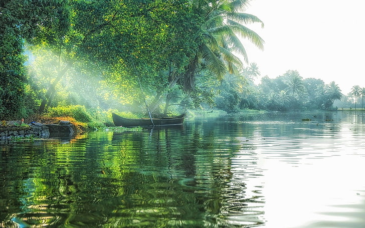 svart båt på sjön nära gröna blad, landskap, natur, sjö, solstrålar, båt, träd, palmer, dimma, grön, tropisk, vatten, HD tapet