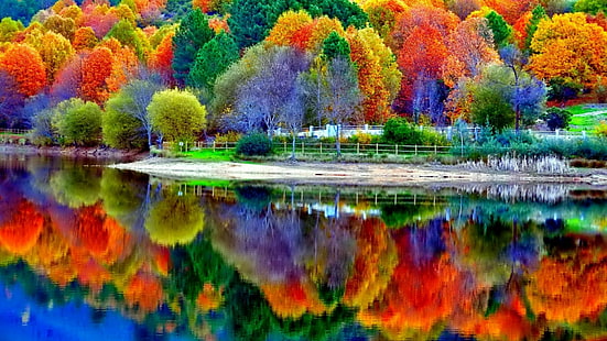 odbicie, natura, liście, woda, drzewo, jesień, staw, bank, liściaste, jezioro, Tapety HD HD wallpaper