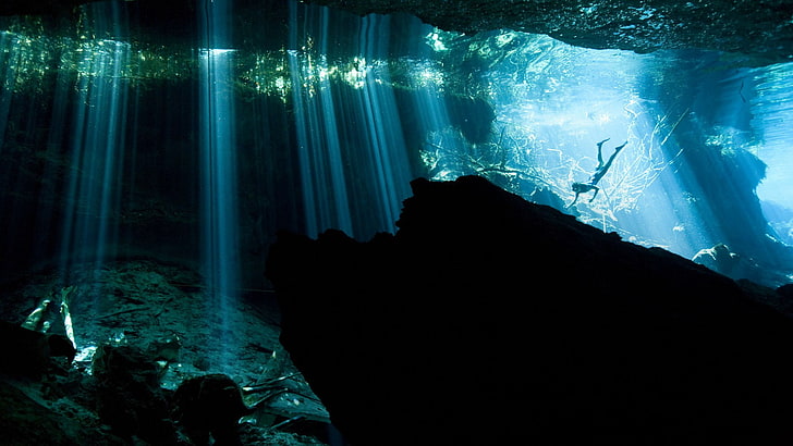 underwater, divers, water, HD wallpaper