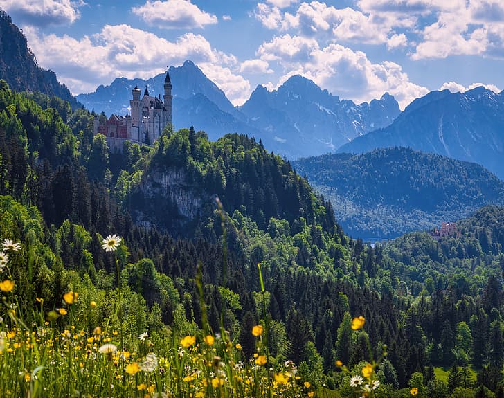 floresta, flores, montanhas, castelo, Alemanha, Bayern, Baviera, Castelo De Neuschwanstein, Alpes Da Baviera, Os Alpes Da Baviera, Schwangau, HD papel de parede
