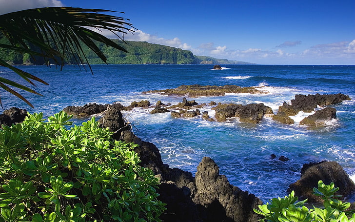 blue and white concrete house, Hawaii, sea, coast, water, blue, beach, nature, island, rocks, palm trees, HD wallpaper