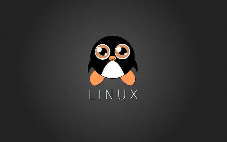Logo Linux, Linux, Tux, Penguin, Tapety HD
