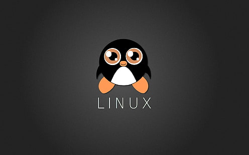 Linuxロゴ、Linux、Tux、Penguin、 HDデスクトップの壁紙 HD wallpaper
