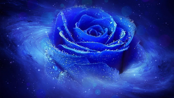 синя роза, вихър, синьо, семейство рози, роза, роса, цвете, произведения на изкуството, артистично, росно, електрическо синьо, капки, небе, цифрово изкуство, HD тапет