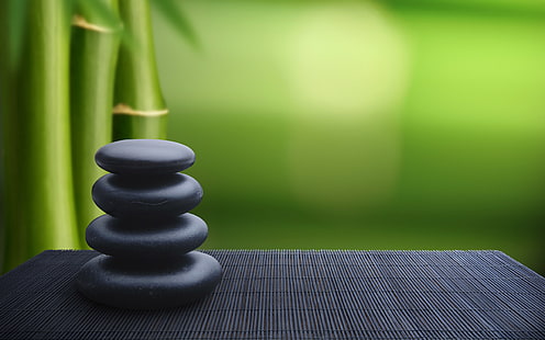 vier runde schwarze Steine, Steine, Grün, Bambus, Zen, HD-Hintergrundbild HD wallpaper